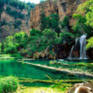 Meet your Posher, Edith